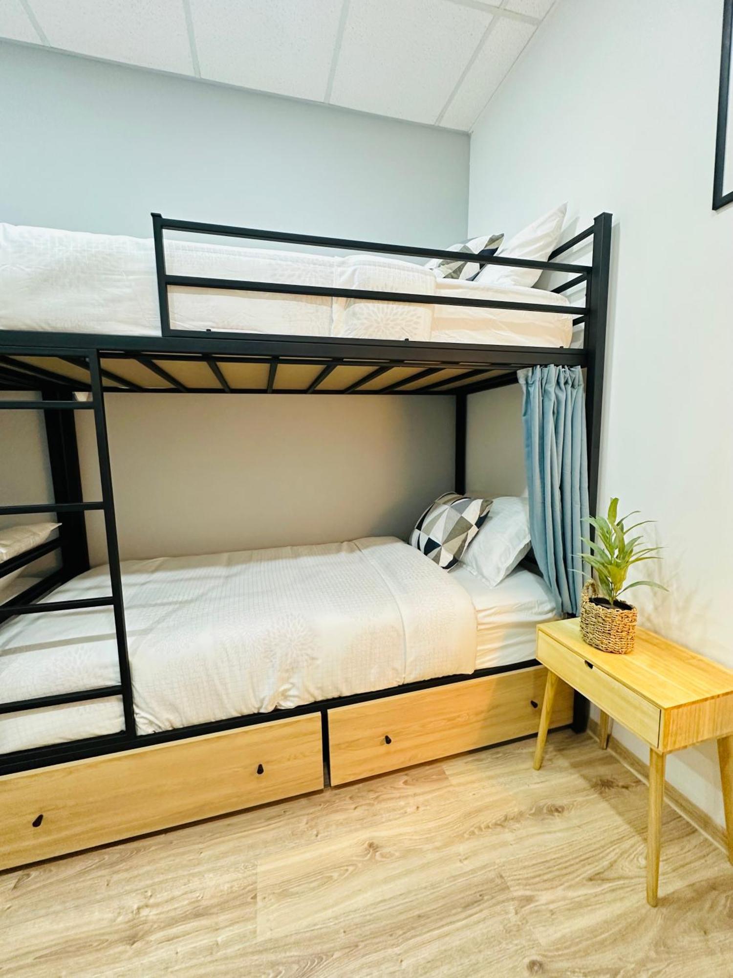 Cosy Koala Hostel تبليسي المظهر الخارجي الصورة